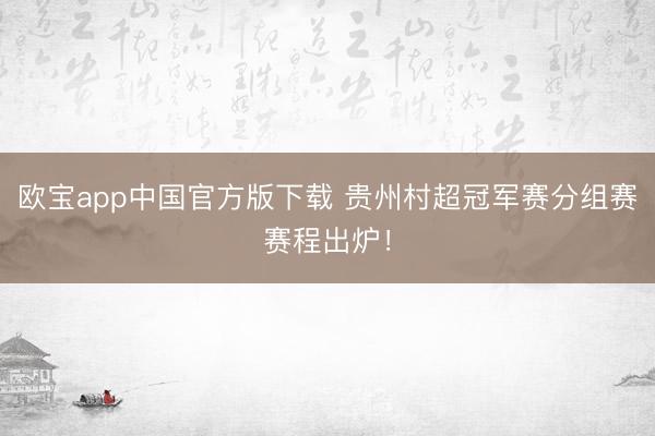 欧宝app中国官方版下载 贵州村超冠军赛分组赛赛程出炉！