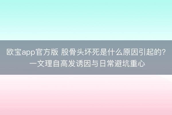 欧宝app官方版 股骨头坏死是什么原因引起的? 一文理自高发诱因与日常避坑重心
