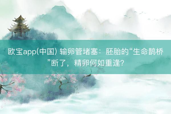 欧宝app(中国) 输卵管堵塞：胚胎的“生命鹊桥”断了，精卵何如重逢？