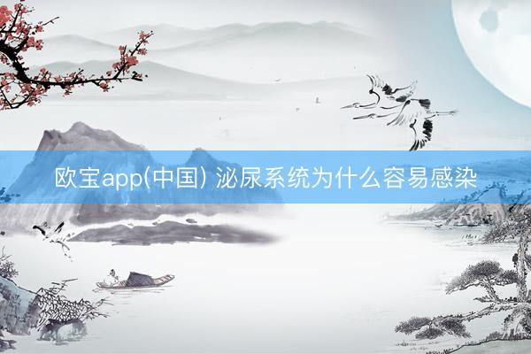 欧宝app(中国) 泌尿系统为什么容易感染