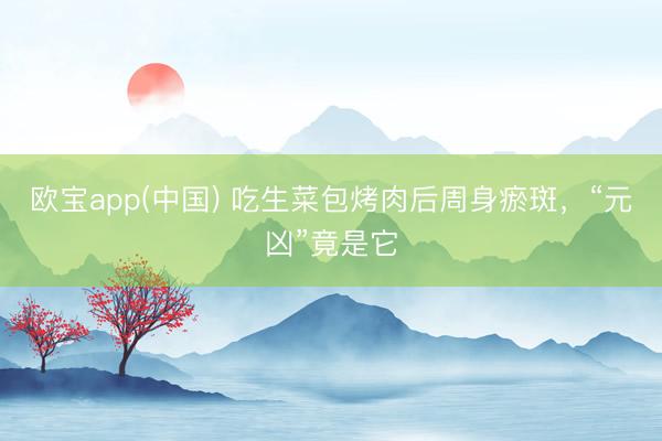 欧宝app(中国) 吃生菜包烤肉后周身瘀斑，“元凶”竟是它