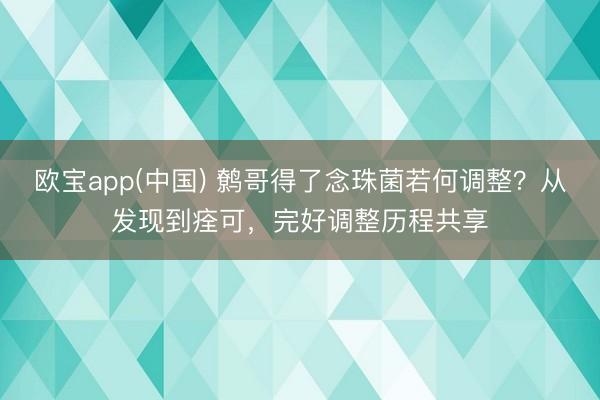 欧宝app(中国) 鹩哥得了念珠菌若何调整？从发现到痊可，完好调整历程共享