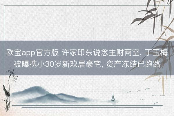 欧宝app官方版 许家印东说念主财两空， 丁玉梅被曝携小30岁新欢居豪宅， 资产冻结已跑路