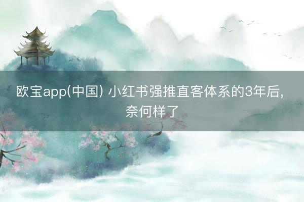 欧宝app(中国) 小红书强推直客体系的3年后， 奈何样了
