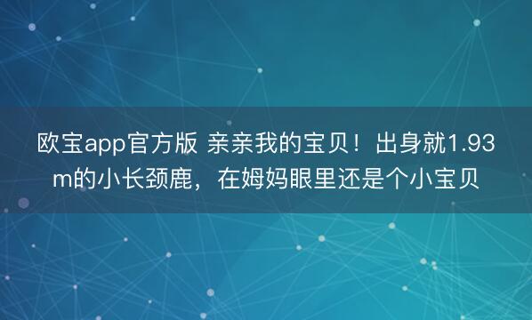 欧宝app官方版 亲亲我的宝贝！出身就1.93m的小长颈鹿，在姆妈眼里还是个小宝贝