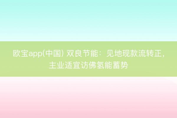 欧宝app(中国) 双良节能：见地现款流转正，主业适宜访佛氢能蓄势
