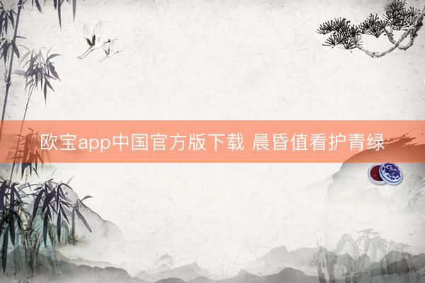 欧宝app中国官方版下载 晨昏值看护青绿