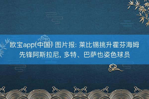 欧宝app(中国) 图片报: 莱比锡挑升霍芬海姆先锋阿斯拉尼， 多特、巴萨也姿色球员